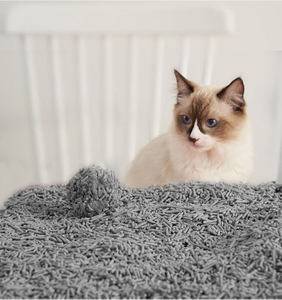 10kg Acticarbon Cat Litter