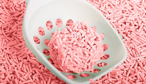 Super Absorption 2.5 mm Peach Tofu Cat Litter